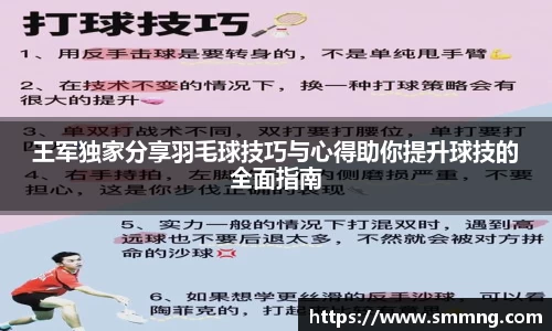 王军独家分享羽毛球技巧与心得助你提升球技的全面指南