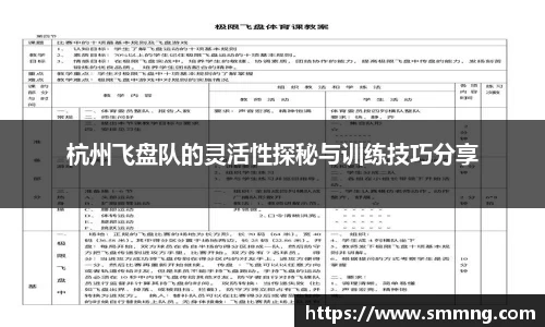 杭州飞盘队的灵活性探秘与训练技巧分享
