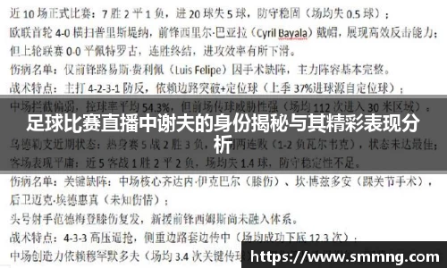 足球比赛直播中谢夫的身份揭秘与其精彩表现分析